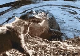 没其他想说的，今天周末，大家耍开心就好!