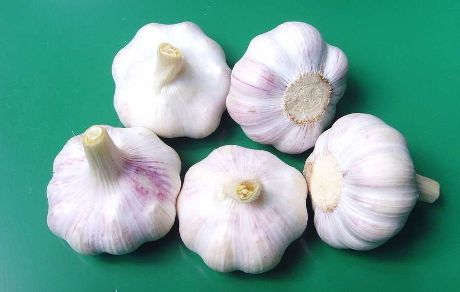 厨房必备的三种良药 (厨房的小偏方有哪些能够用)