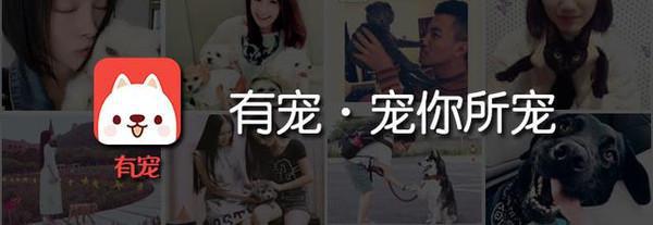 不能专心工作了～猫奴必败的逼真猫爪鼠标来啦！