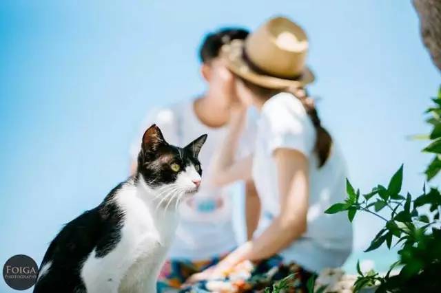 摄影师揭穿8000婚纱照,情侣拍婚纱照摄影师惊呆了