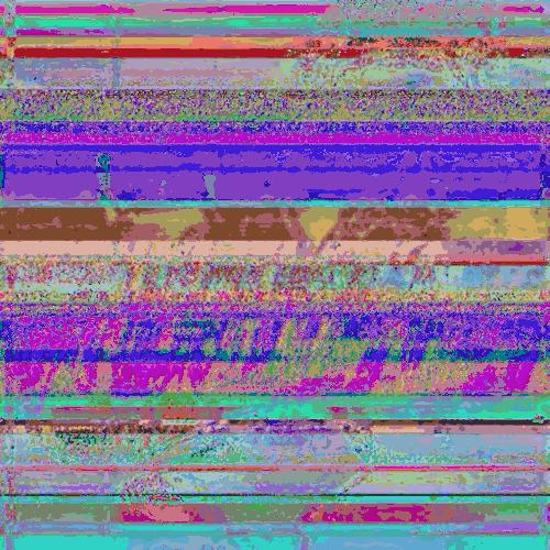 他不敢承认花800块买的boxlogo是假货