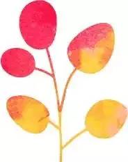 保健食品也要吃出健康来,科普饮食安全