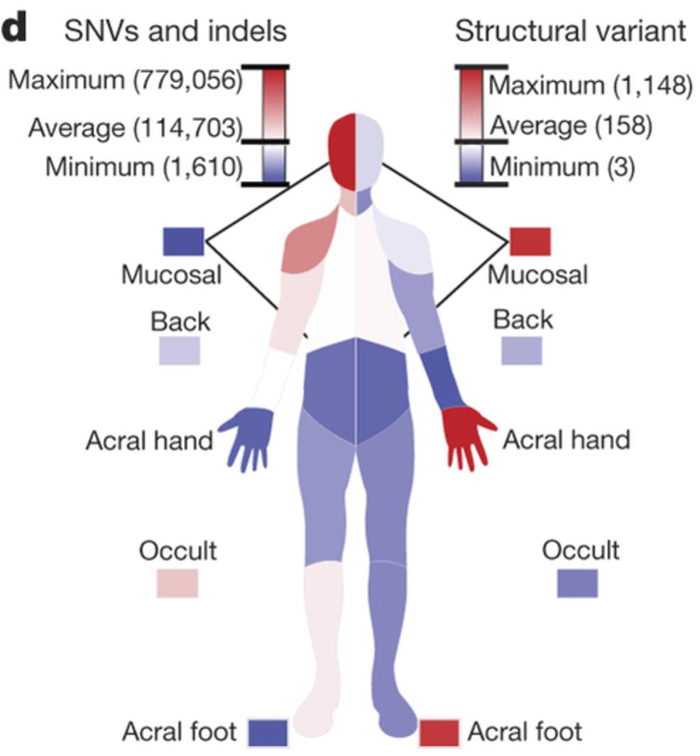 环球科学中文网,环球科学官网