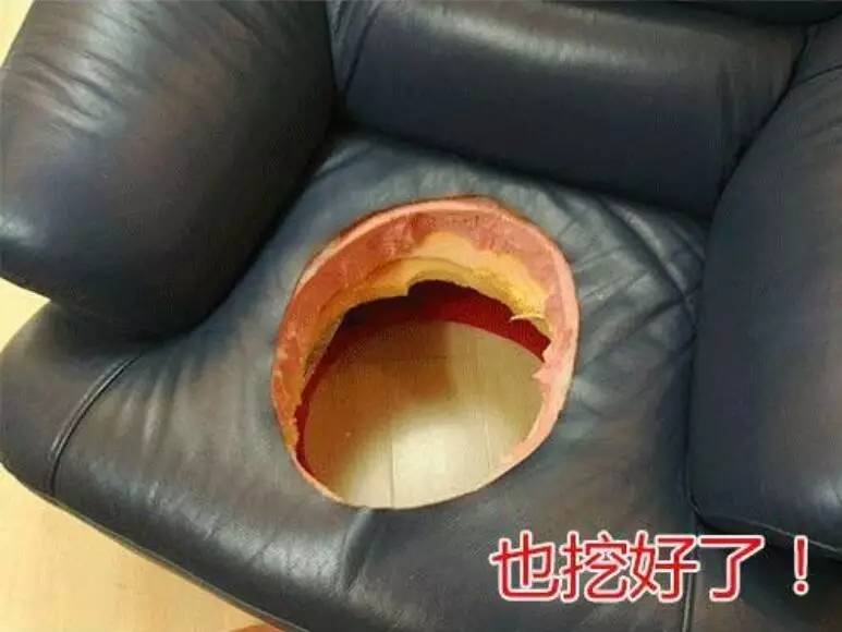 自黑不成变自杀？品牌自黑营销怎么玩