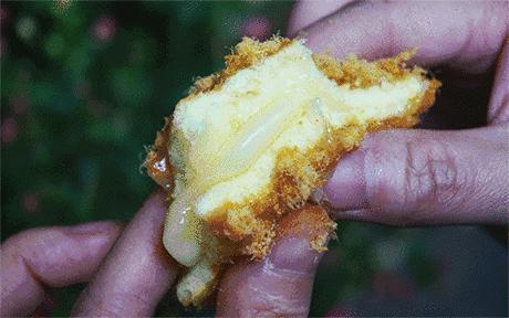 不用排队也能吃的肉松小贝,吃货福利不用再排队