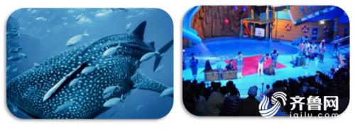 端午节旅游攻略自驾游山东,端午小长假合适去哪玩自驾