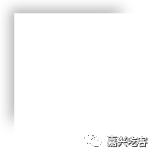 不用排队也能吃的肉松小贝,吃货福利不用再排队