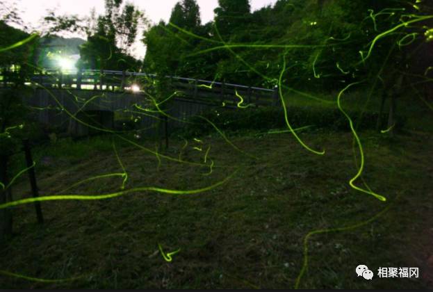 日本九州的人民夏天都去那里玩？只有一天也能够很放松的景点不信你们都去过