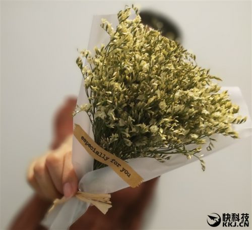 金立s10四摄价格,金立s10的手机测评