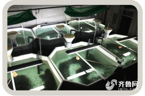 端午节旅游攻略自驾游山东,端午小长假合适去哪玩自驾