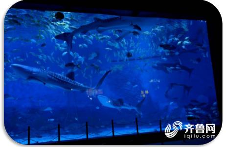 端午节旅游攻略自驾游山东,端午小长假合适去哪玩自驾