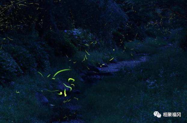 日本九州的人民夏天都去那里玩？只有一天也能够很放松的景点不信你们都去过