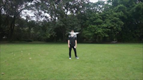 大疆无人机phantom3se新手,djiphantom3professional