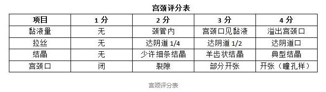 你知道排卵过程是怎么样吗,什么时候才是正确的排卵日啊