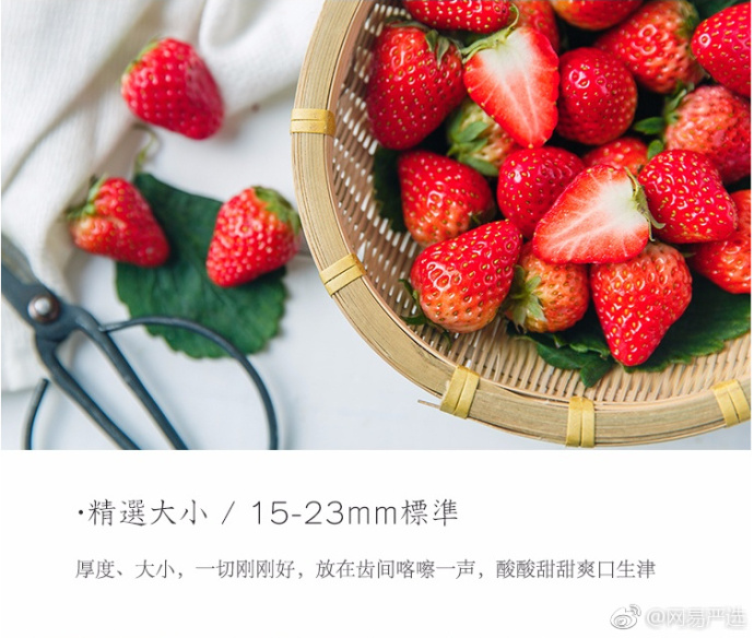 网易严选品牌文案,网易严选广告文案