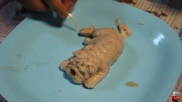 恐怖沙皮狗,沙皮狗恐怖视频