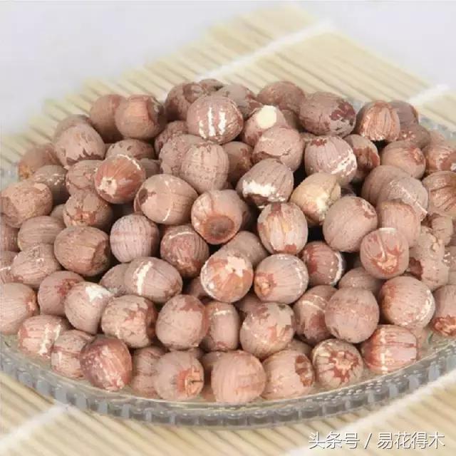 地栽百合花种球会自己繁殖吗,百合花的栽培视频