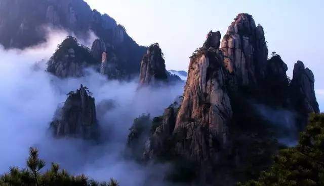 蜀兰大熊猫 (大熊猫蜀兰回家)