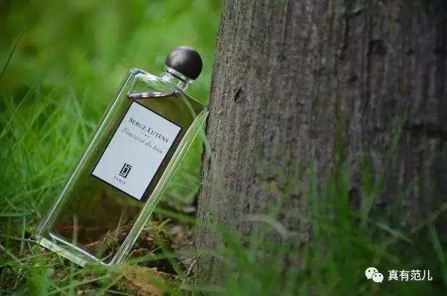 想追女神，选这些总不会错