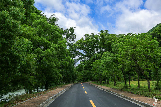 哪儿有原始森林拍照的景区,冬天合适拍照的原始森林