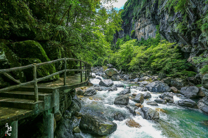 哪儿有原始森林拍照的景区,冬天合适拍照的原始森林
