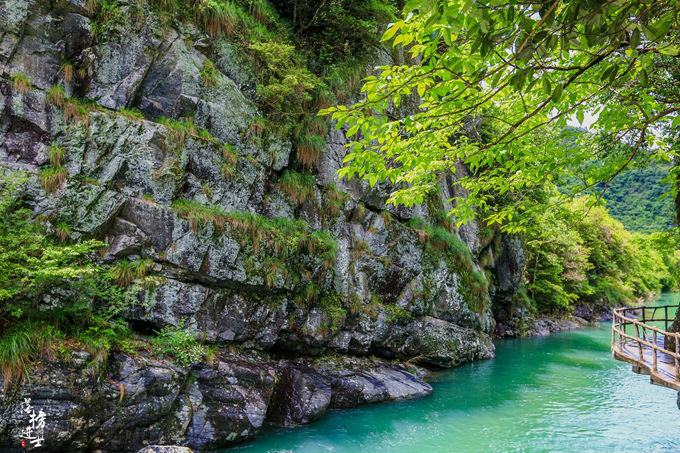哪儿有原始森林拍照的景区,冬天合适拍照的原始森林