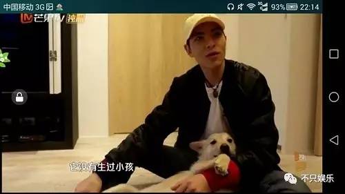 萧敬腾领养狗狗,萧敬腾领养孩子