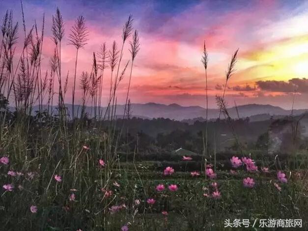 清迈小众私藏攻略,清迈旅行必备