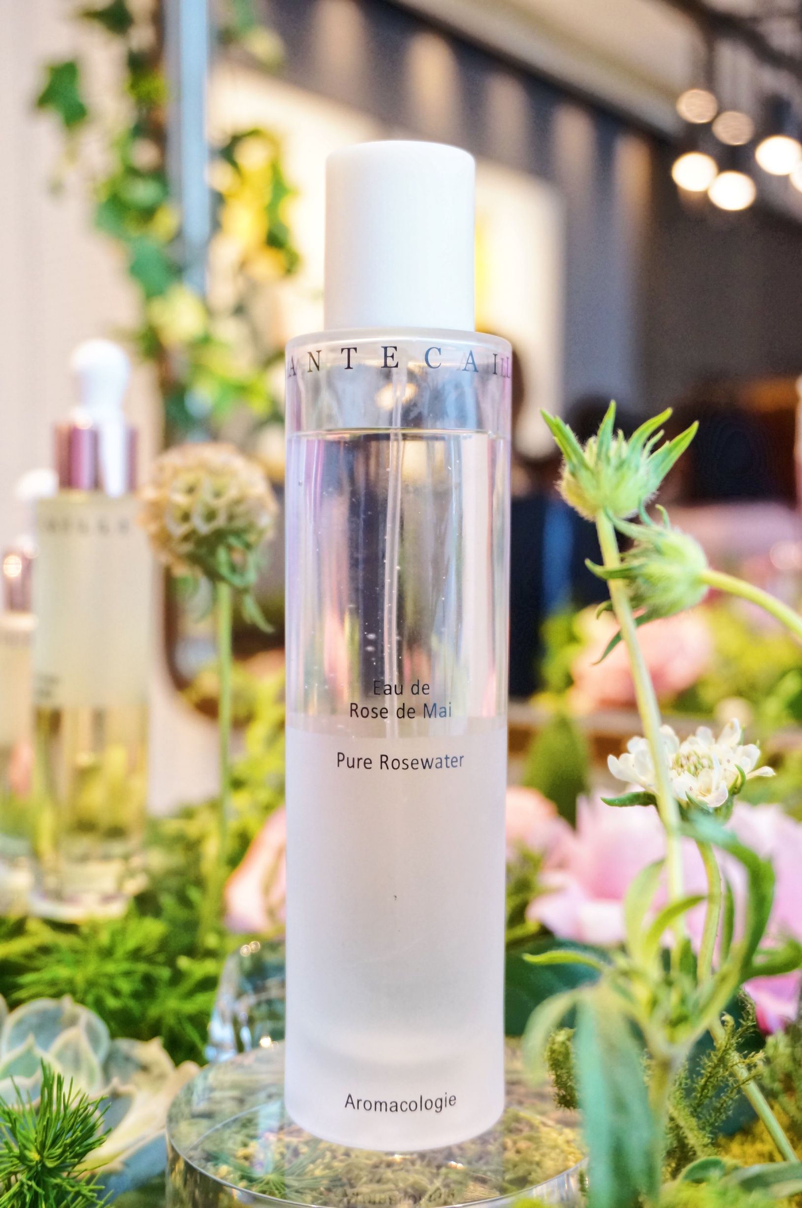 chantecaille香缇卡小样,chantecaille香缇卡香氛系列