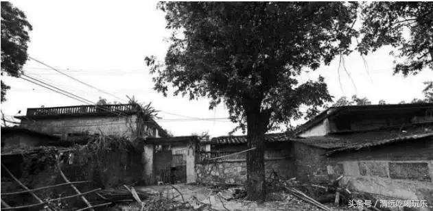 英德沙口的老乡，你们记忆中的家乡是不是这样的？