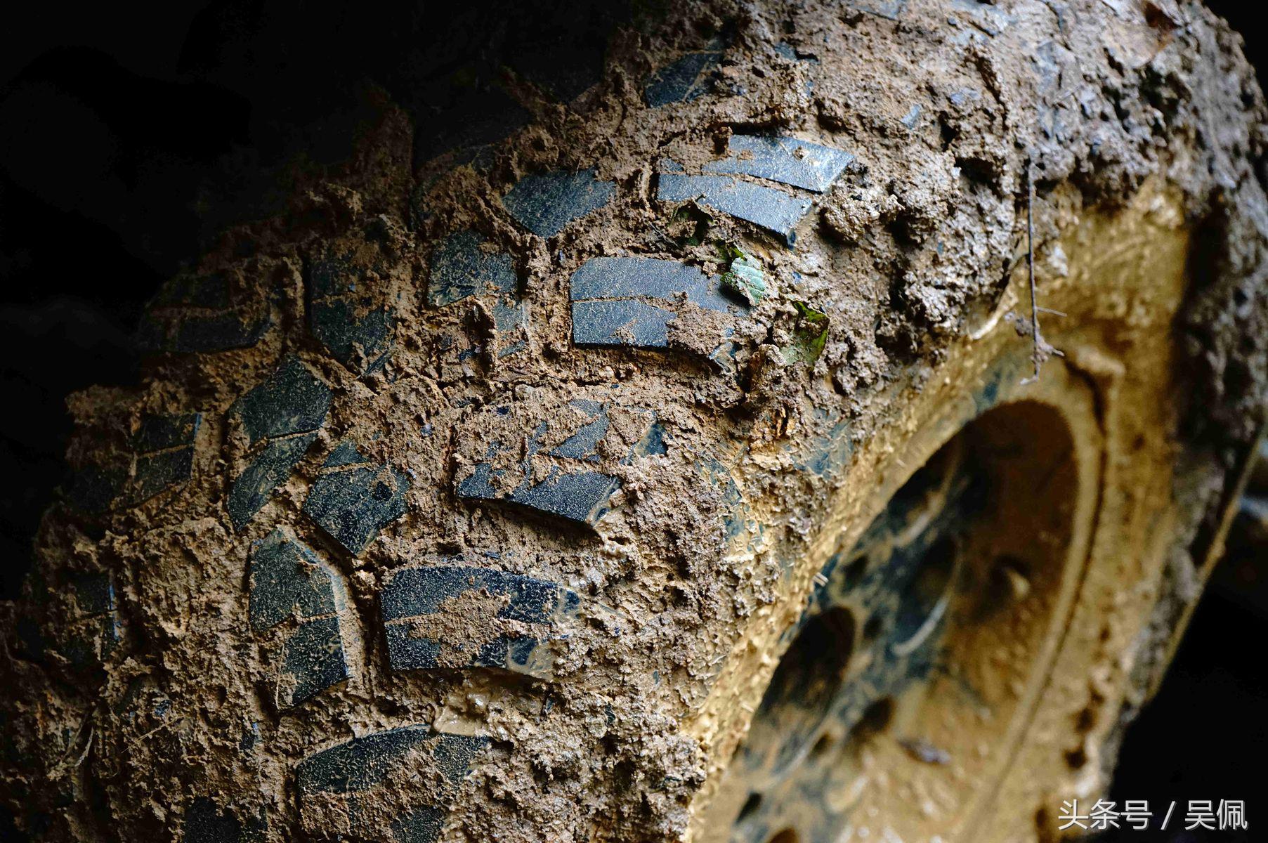 鲨鱼轮胎和普通轮胎区别,轮胎和鲨鱼皮哪个好
