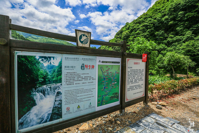 哪儿有原始森林拍照的景区,冬天合适拍照的原始森林