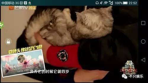 萧敬腾领养狗狗,萧敬腾领养孩子