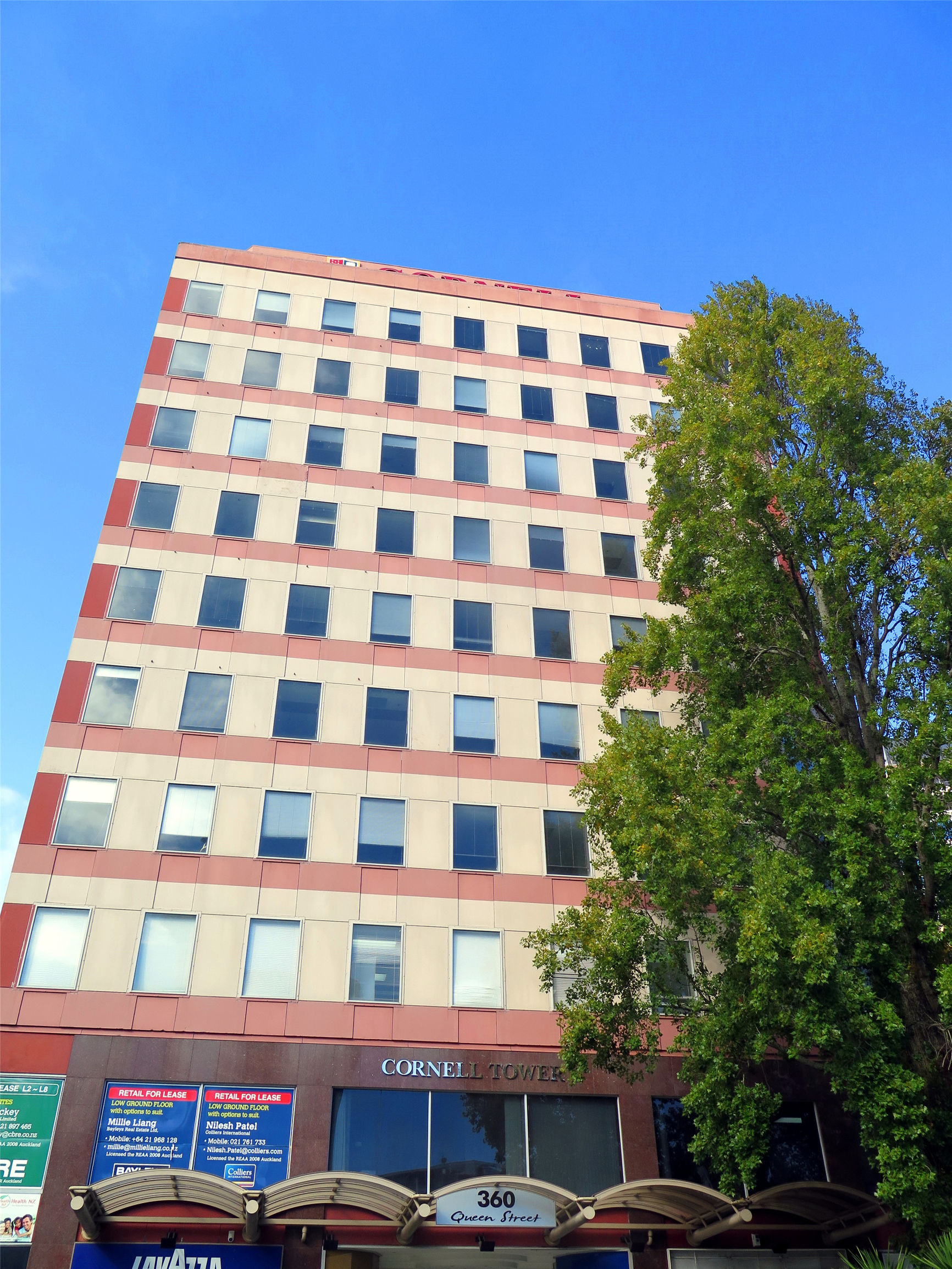 绵羊购物必买清单,绵羊国