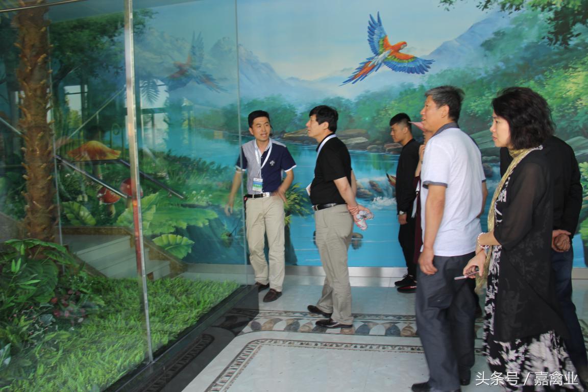 田瑞，温柔了养鸡岁月，雕刻了奋斗时光