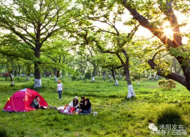 你好！我叫沭阳，这是我的简历，请多多指教！