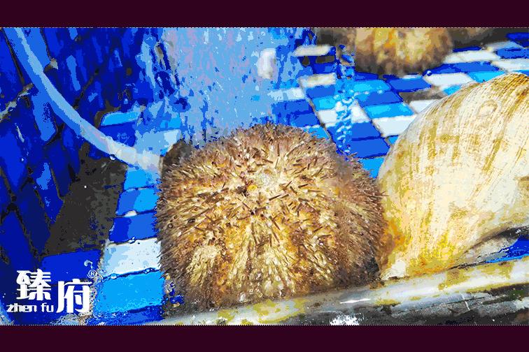 厦门中山街美食排行榜前十名,厦门美食攻略十大必吃