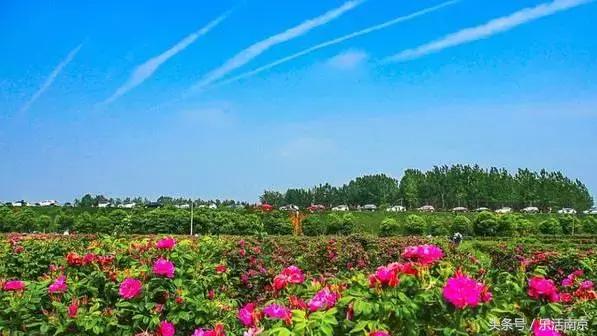 南京是一座很美的城市,南京最让人震撼的城市