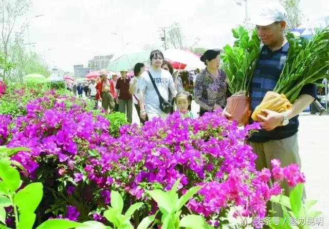 对不起我要去西安了,再见宜良