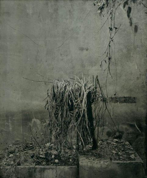 甘森丨一个天天洗玻璃的摄影师