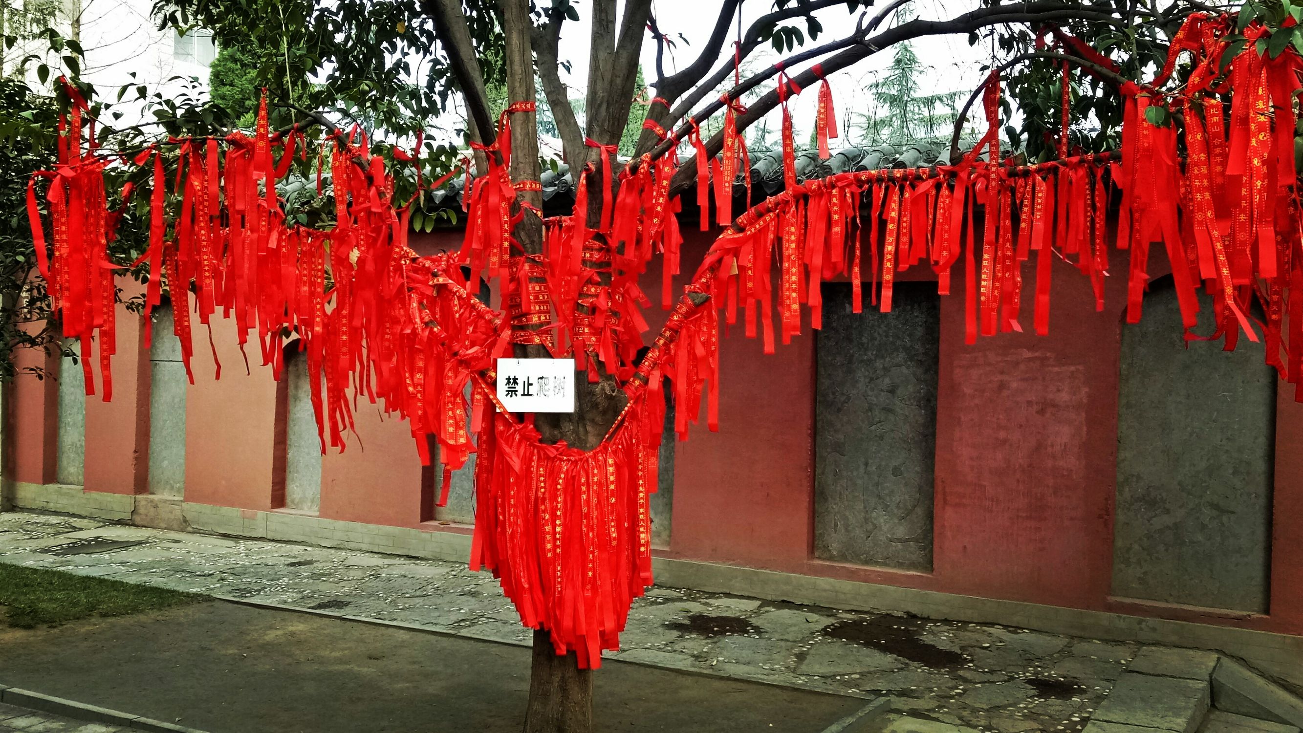 郑州市城隍庙有算卦的没有,郑州城隍庙算卦景象视频