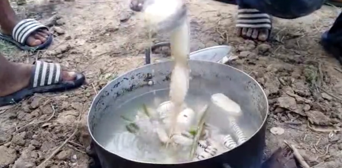 大蛇喂小孩吃蛇,小孩吃了一条蛇变成蛇了