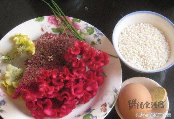 嘴馋了，摘盆花儿来尝尝，第一盆花卉佳肴就闻所未闻