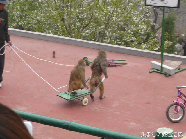 新乡南太行八里沟景区,新乡八里沟一日游攻略