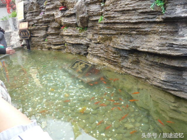 新乡南太行八里沟景区,新乡八里沟一日游攻略