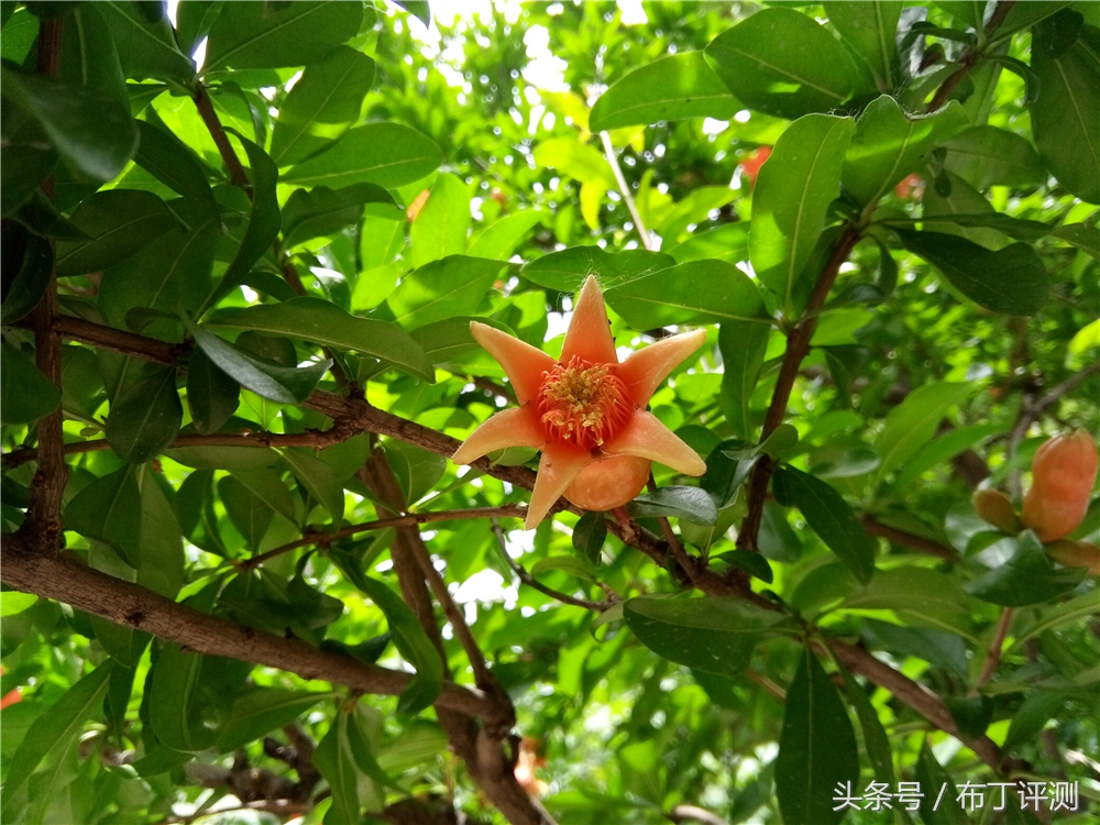 效果最好的裸眼3d手机,裸眼3d屏幕效果最好的手机