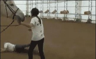 经验篇，曾*载下**一个资源挂机两千多小时，还是没下完，现不求人