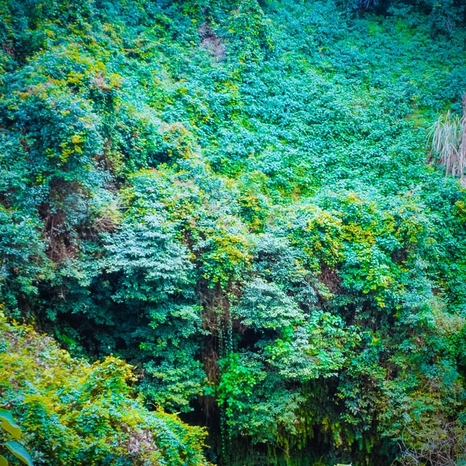 北纬18度三亚你不宁愿错过的风景