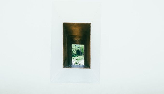 紫藤花开的季节去看锦鲤成了精，据说转发会有好运