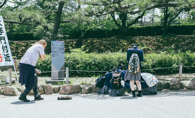 紫藤花开的季节去看锦鲤成了精，据说转发会有好运